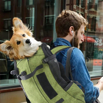 PETCUTE Hundetasche Hundetransporttasche Tragetasche für Hunde Katzen Wanderrucksack Seite Atmungsak