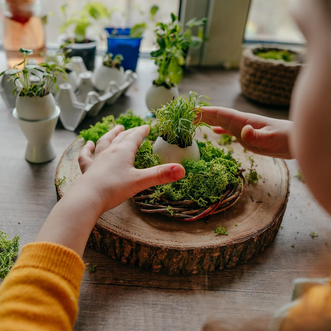 Karton Islandmoos Natur - 500g