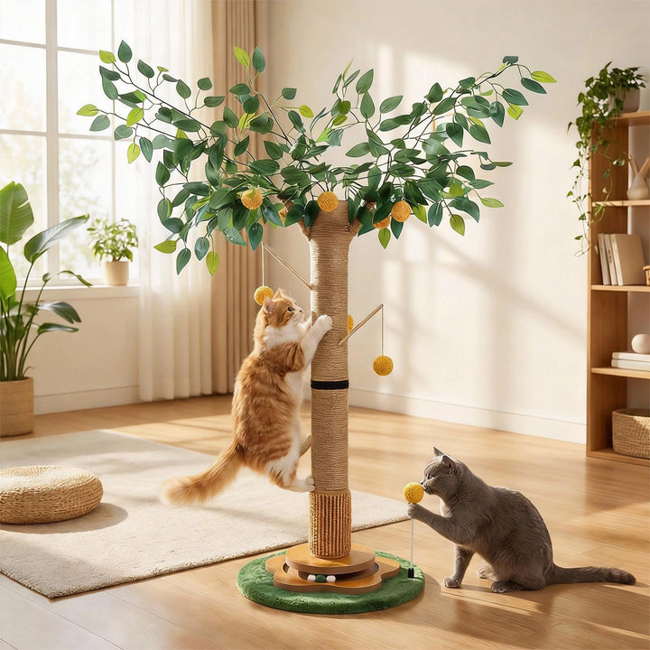 Katzenkratzbaum Kratzbaum Cat Scratching Post 85 cm mit Interaktiven Bällen und Sisalseil für Kleine