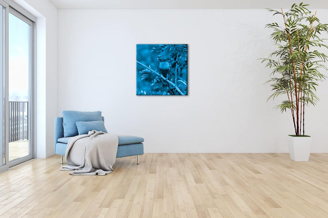 Allfarblori Papagei in der Natur Format: 40x40 Effekt: Monocrome Blau als Leinwandbild, Motiv fertig