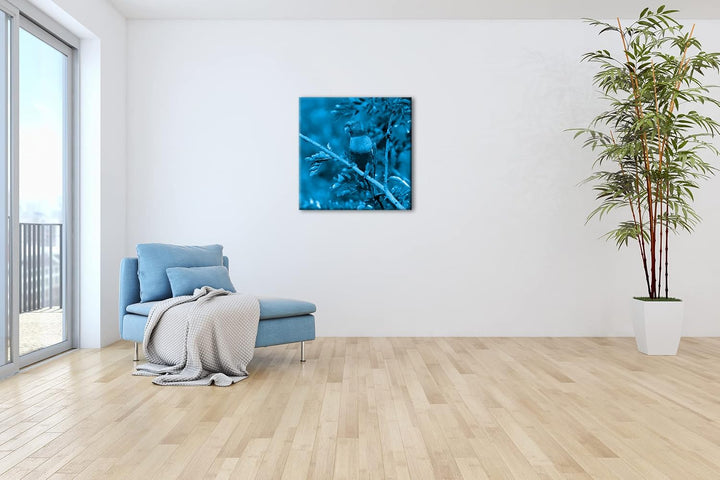 Allfarblori Papagei in der Natur Format: 40x40 Effekt: Monocrome Blau als Leinwandbild, Motiv fertig