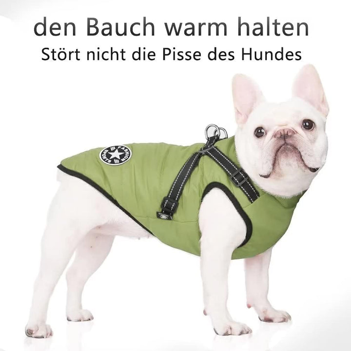 Hundejacke Winterweste Jacken, Hundemantel mit Geschirr für Kleine Hunde Hundemantel Wasserdicht Mas