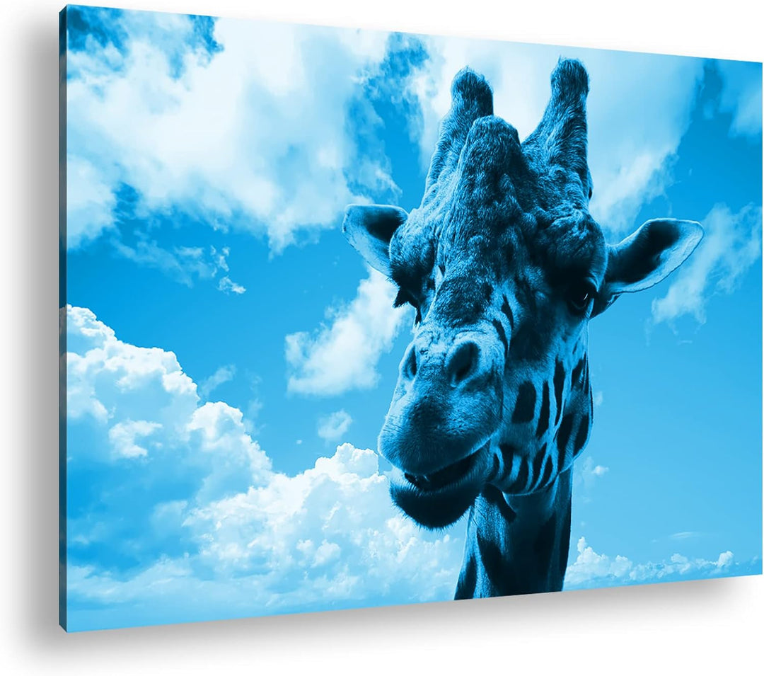deyoli Fotogene Giraffe Format: 80x60 Effekt: Monocrome Blau als Leinwandbild, Motiv fertig gerahmt