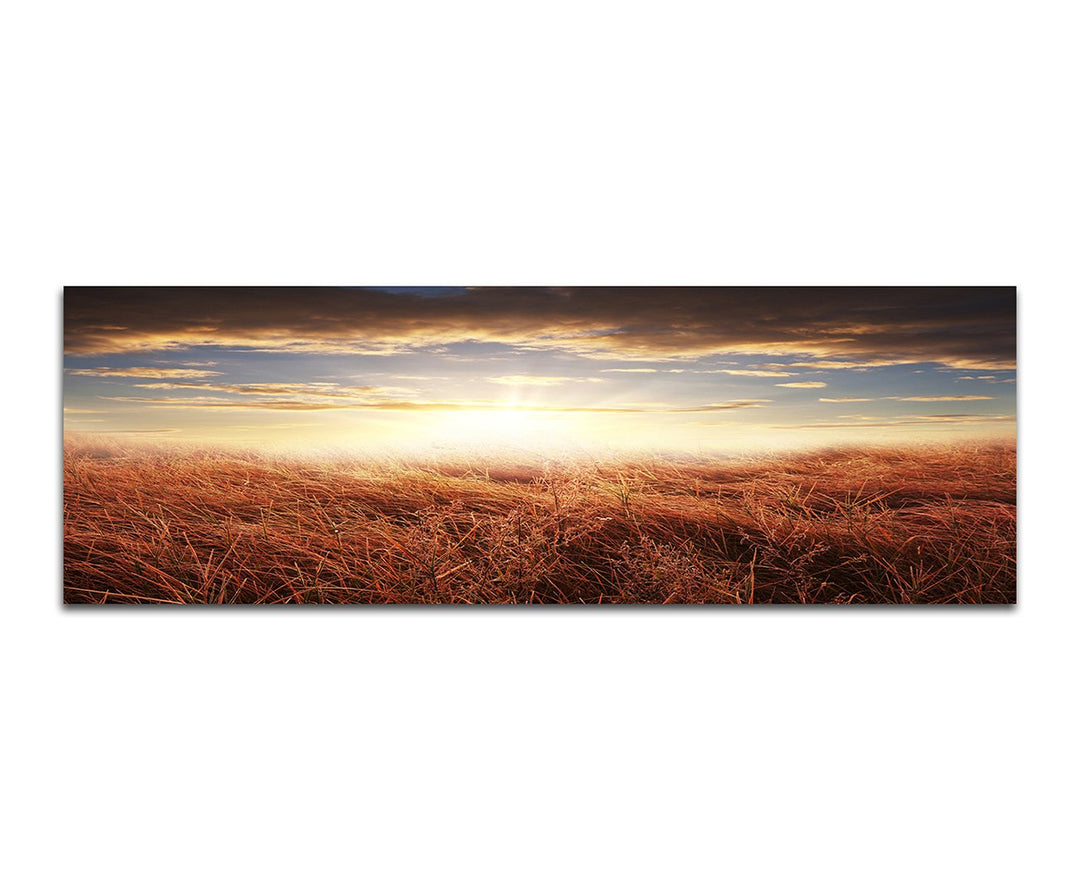 Paul Sinus Art Panoramabild auf Leinwand und Keilrahmen 150x50cm Feld Herbst Sonnenuntergang Wolken