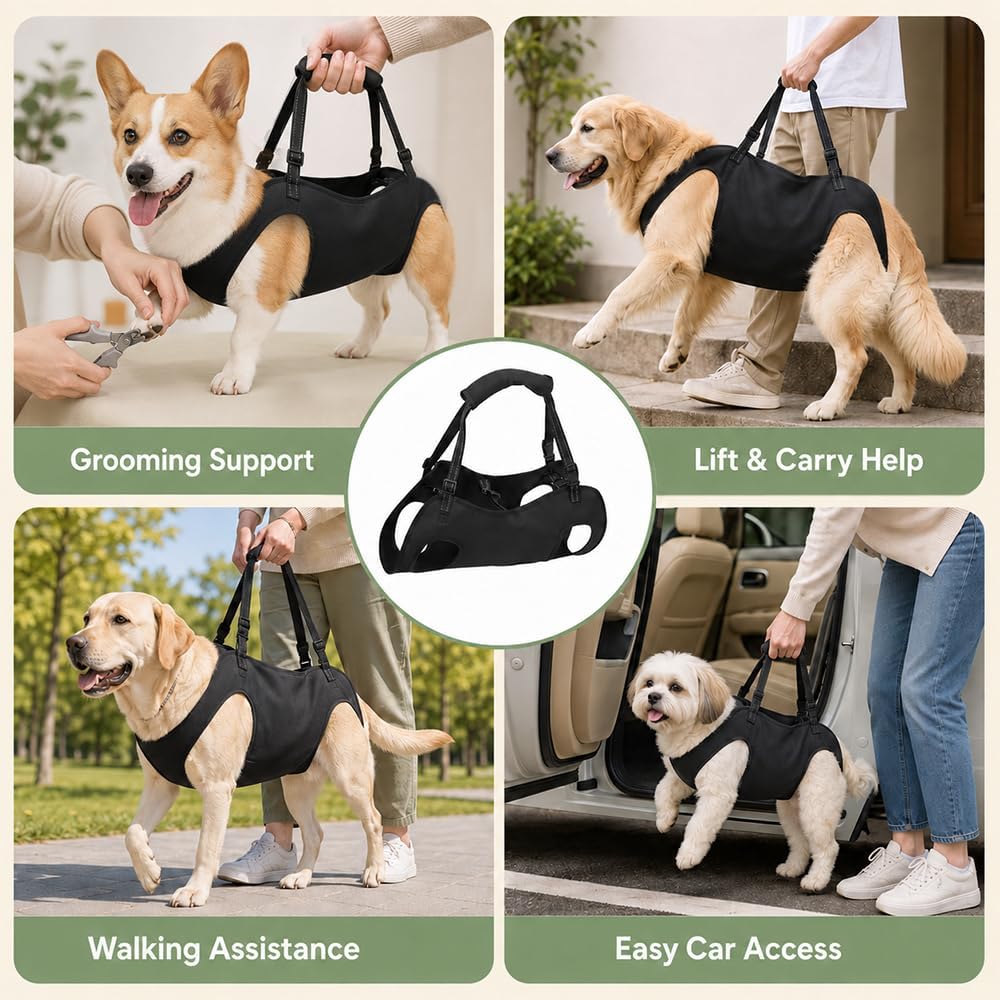 Tragehilfe Hund, Hunde Tragehilfe, Tragegurt Hund mit Verstellbaren Griffen | Tragegeschirr Hund, Tr