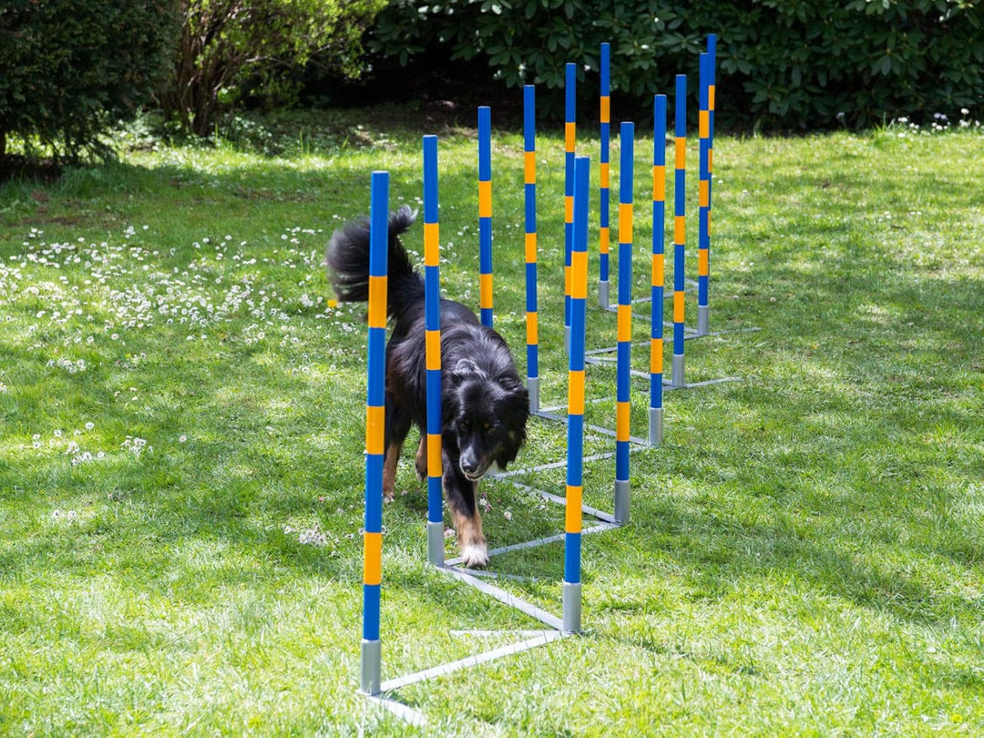 PROCYON Hunde Agility Profi-Slalom Set Doggy