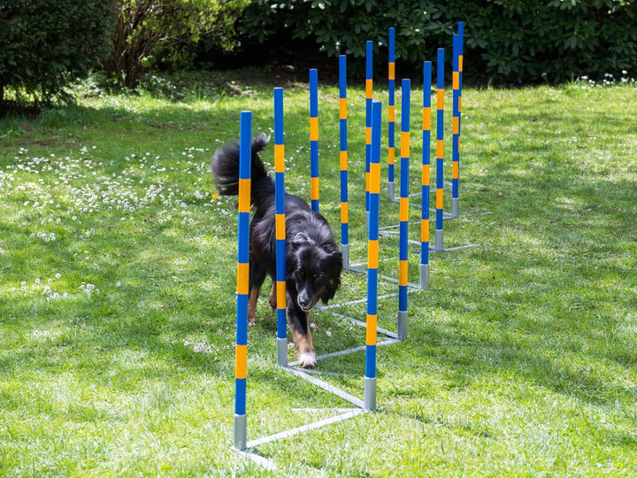 PROCYON Hunde Agility Profi-Slalom Set Doggy