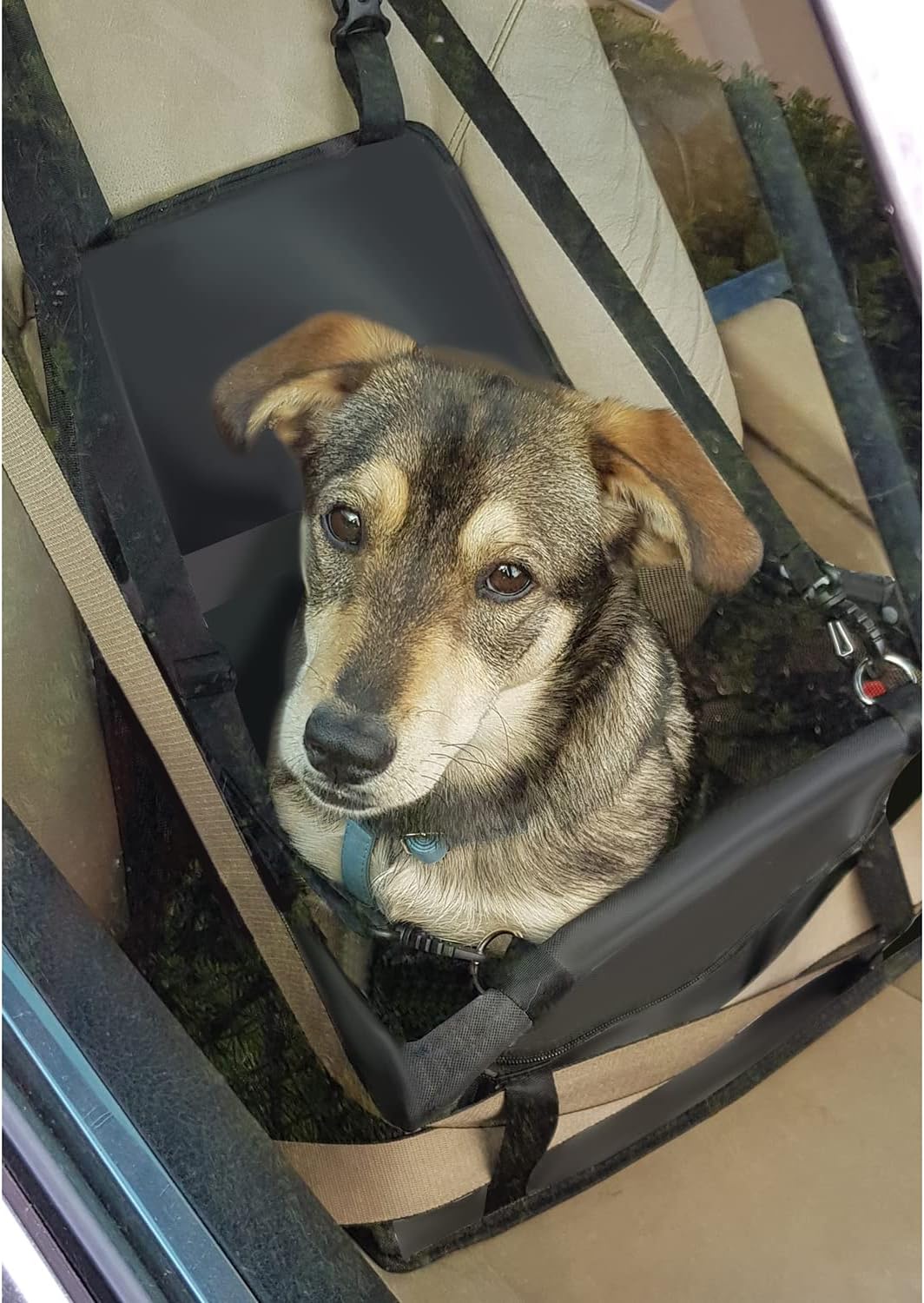 PURLOV Faltbarer Autositz für Hunde & Katzen – 40x40x32cm – Wasserdicht, mit Sicherheitsgurt & Netzf