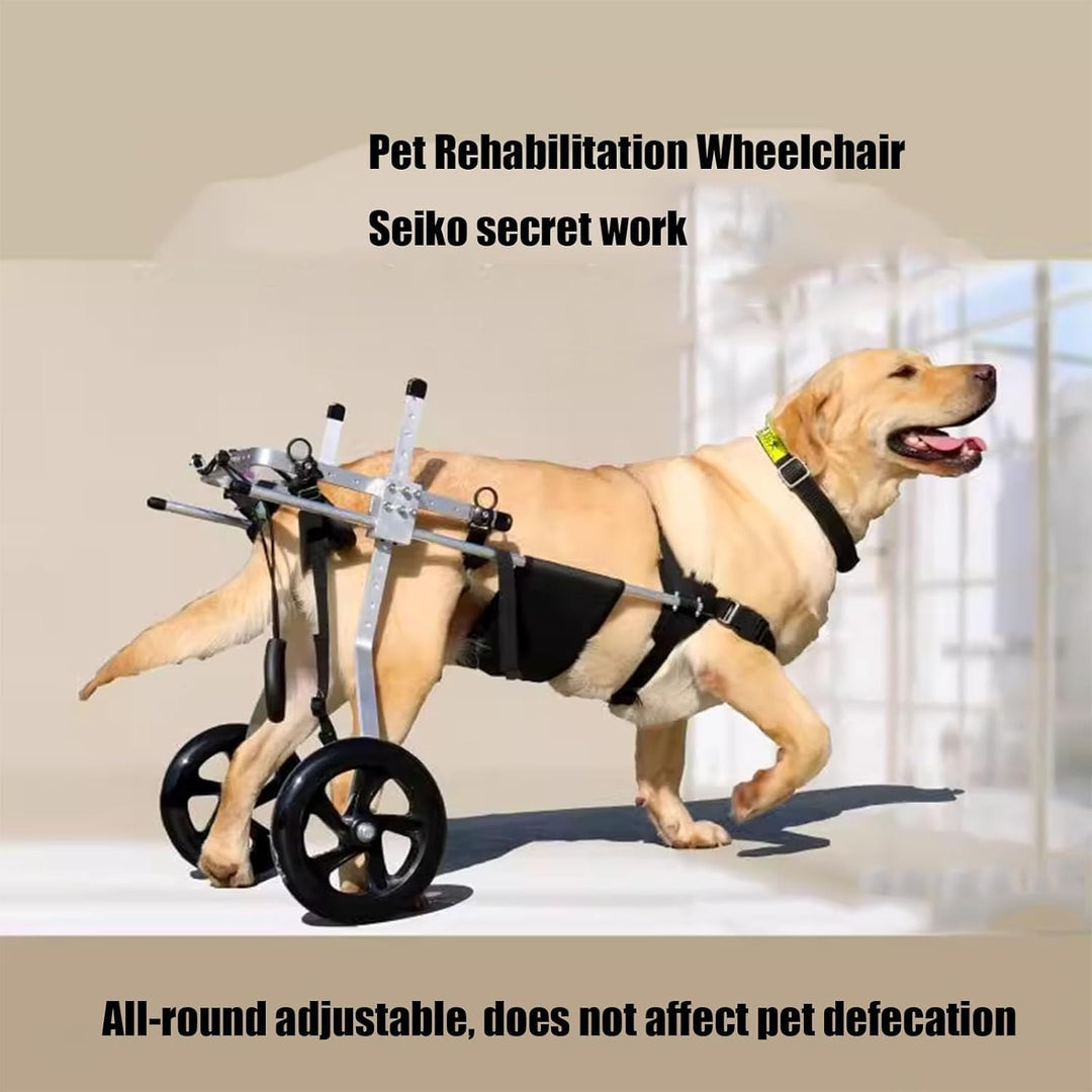 Mittlerer und grosser Hunderollstuhl, Rehabilitationshilfe, Hinterbeinstütze, Hundewagen mit Rädern,