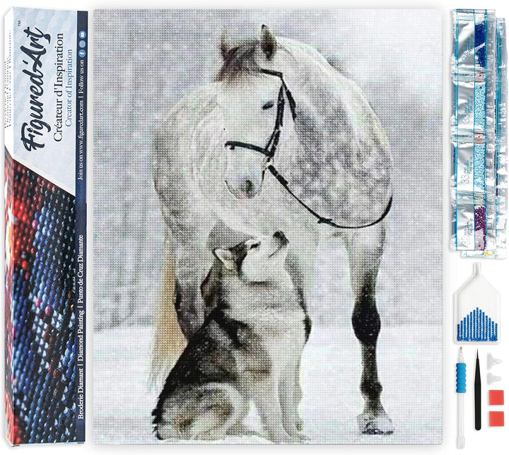 Figured'Art Diamond Painting Erwachsene 40x50cm Ganze Leinwand gerollt Pferd und Wolf im Schnee 5D B