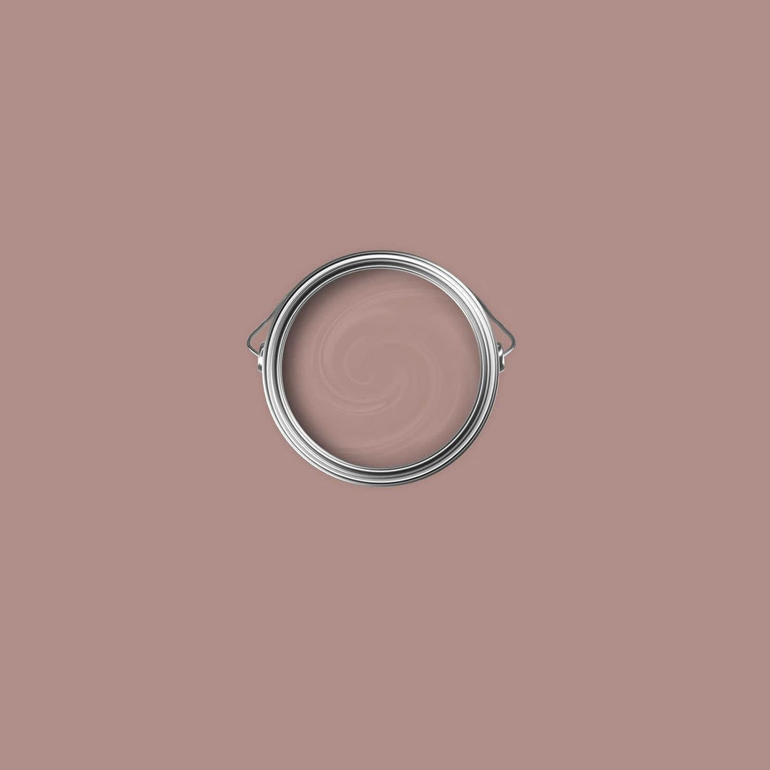 New Walls Premium Wandfarbe Braun, Taupe Liquid Luxury Dispersionsfarbe für Innenräume – 1 L 1000 ml