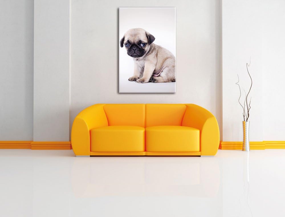 Kleiner Hundewelpe Mops, Format: 100x70 auf Leinwand, XXL riesige Bilder fertig gerahmt mit Keilrahm