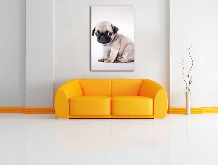 Kleiner Hundewelpe Mops, Format: 100x70 auf Leinwand, XXL riesige Bilder fertig gerahmt mit Keilrahm