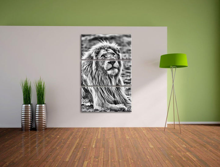 Pixxprint anmutiger weisser Löwe als Leinwandbild/Grösse: 3 Teilig (120x80) / Wandbild/Kunstdruck/fe