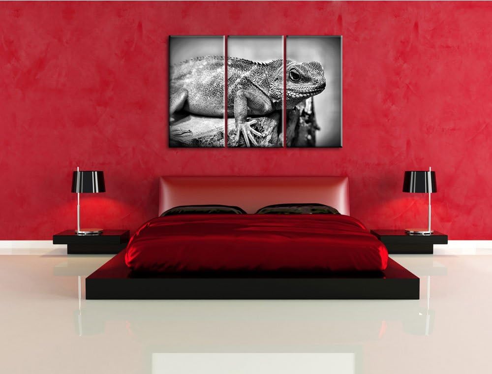 Pixxprint kleine grüne Eidechse als Leinwandbild/Grösse: 3 Teilig (120x80) / Wandbild/Kunstdruck/fer