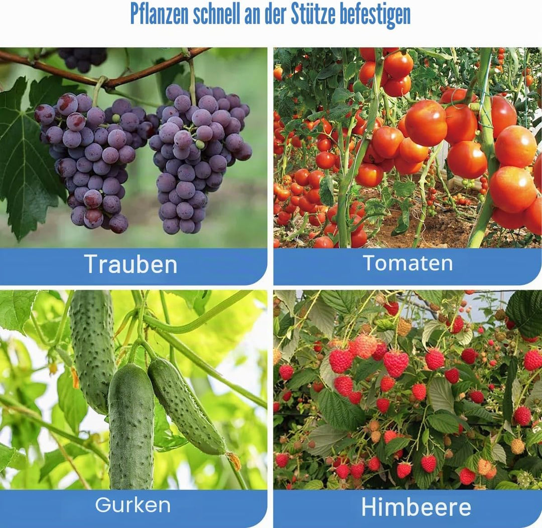 Pflanzenbindemaschine für schnelles und einfaches Binden von Tomaten, Paprika und Gurken - ideal für