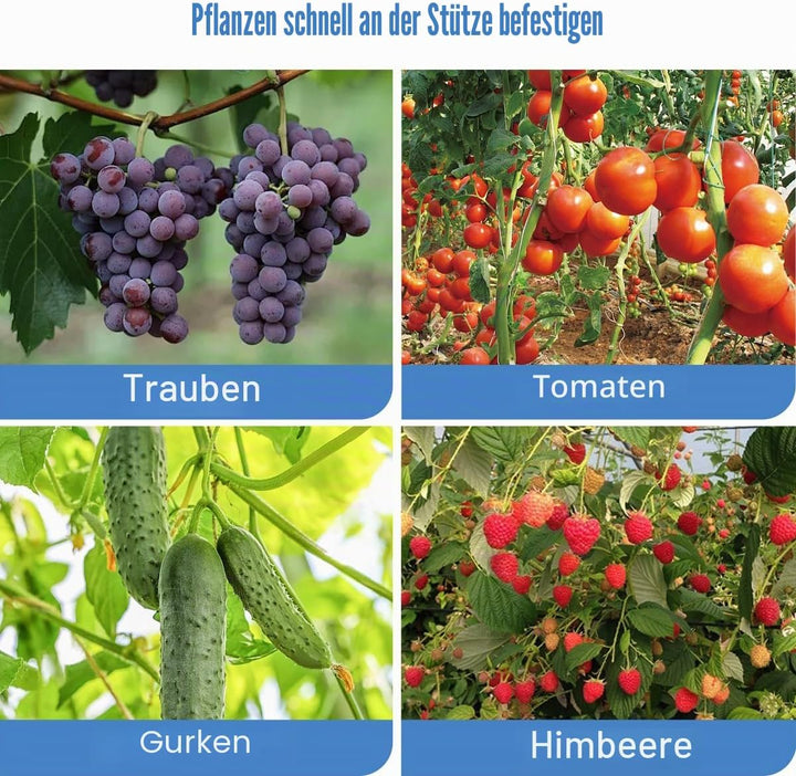 Pflanzenbindemaschine für schnelles und einfaches Binden von Tomaten, Paprika und Gurken - ideal für