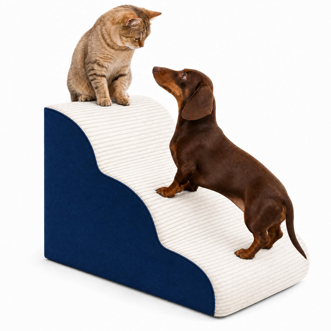 BEST JAJA Hundetreppe 3 Stufen mit Kanteneinfassung – formstabil und rutschfest, 40 cm hoch für Bett
