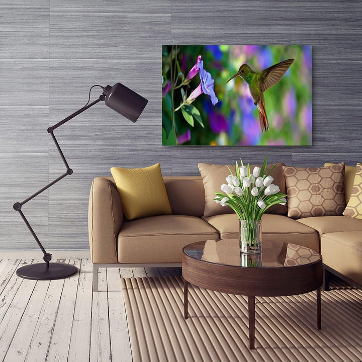 Feeby Frames, Leinwandbild, Bilder, Wand Bild, Wandbilder, Kunstdruck 50x70cm, VOGEL, KOLIBRI, TIERE