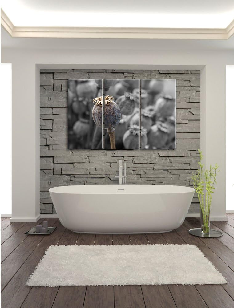 Pixxprint Mohnkapsel der Mohnblume B&W Detail 3-Teiler Leinwandbild 120x80 Bild auf Leinwand