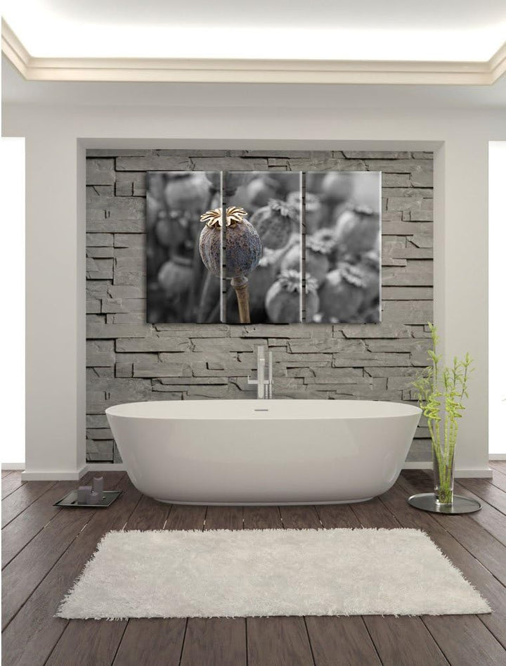 Pixxprint Mohnkapsel der Mohnblume B&W Detail 3-Teiler Leinwandbild 120x80 Bild auf Leinwand