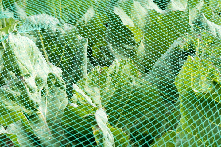 Vielseitiges Teichnetz grün 17mm x 17mm Masche I Aquagart Laubschutznetz Teich Abdecknetz Vogelschut