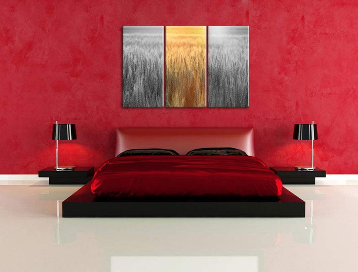 Romantisches Getreidefeld bei Sonnenuntergang schwarz/weiss 3-Teiler Leinwandbild 120x80 Bild auf Le