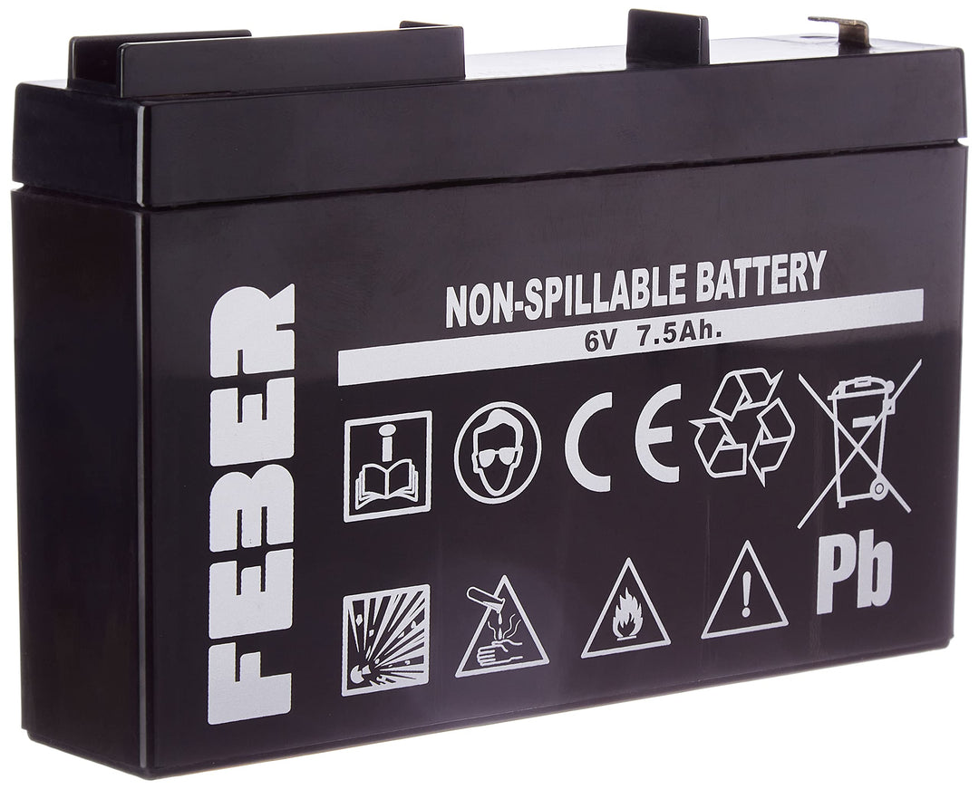 FEBER 800004279 Batterie, Gross