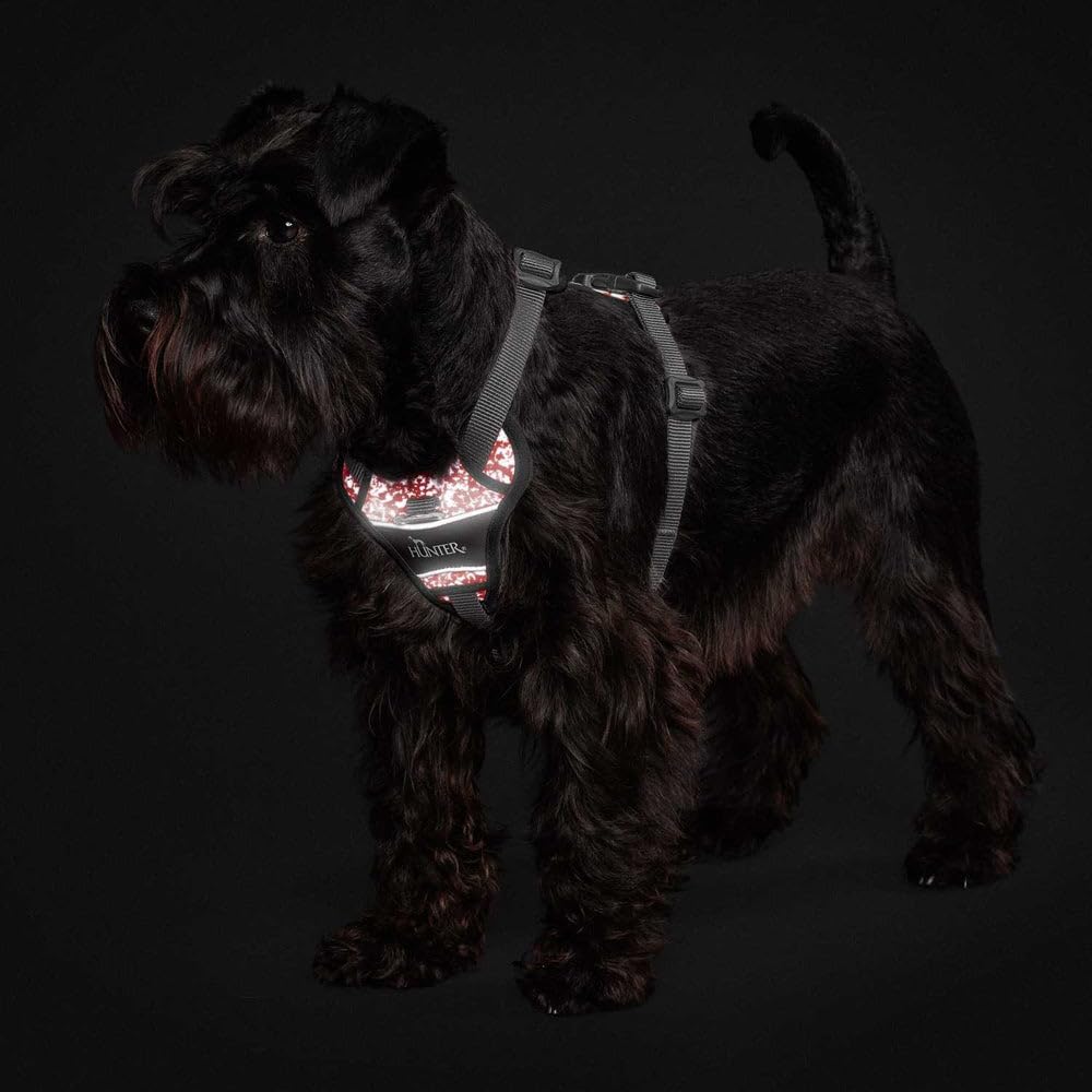 HUNTER Geschirr Divo Reflect 72-100/L rot/grau L, rot/grau L