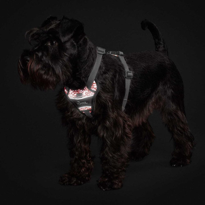 HUNTER Geschirr Divo Reflect 72-100/L rot/grau L, rot/grau L