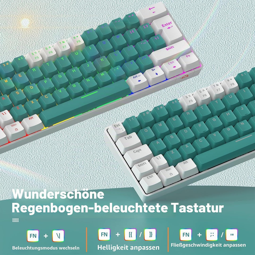 ZIYOU LANG T60 Wired Gaming-Tastatur mit Spiral USB-C Kabel - Kompakt 60% UK Layout(QWERTY) Mechanis