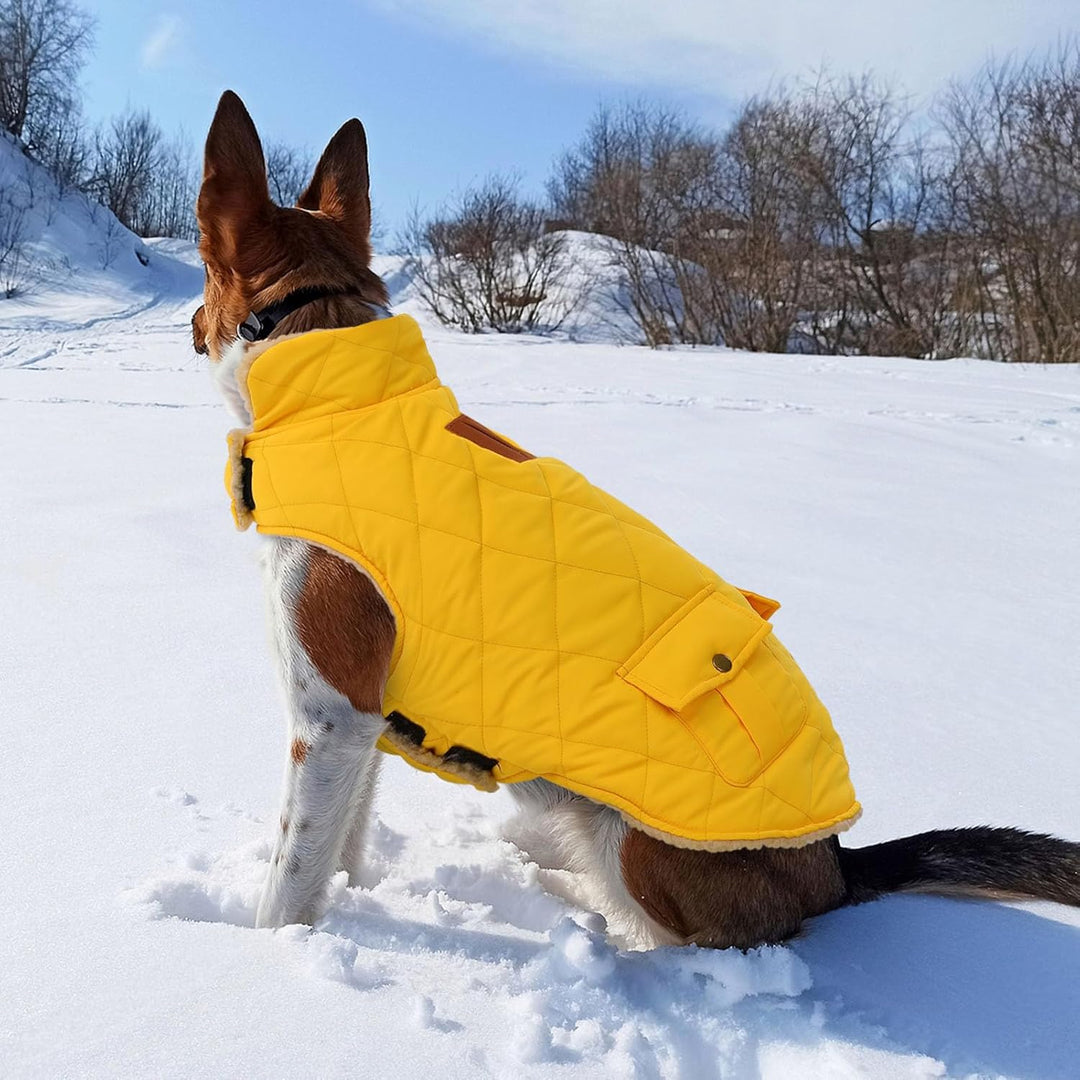Wintermantel Hundemantel, Warme Winterjacken mit Fleece für Hunde,Hundejacke Hundekleidung Hundepull