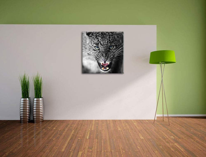 Pixxprint schöner fauchender Leopard als Leinwandbild | Grösse: 70x70 cm | Wandbild | Kunstdruck | f