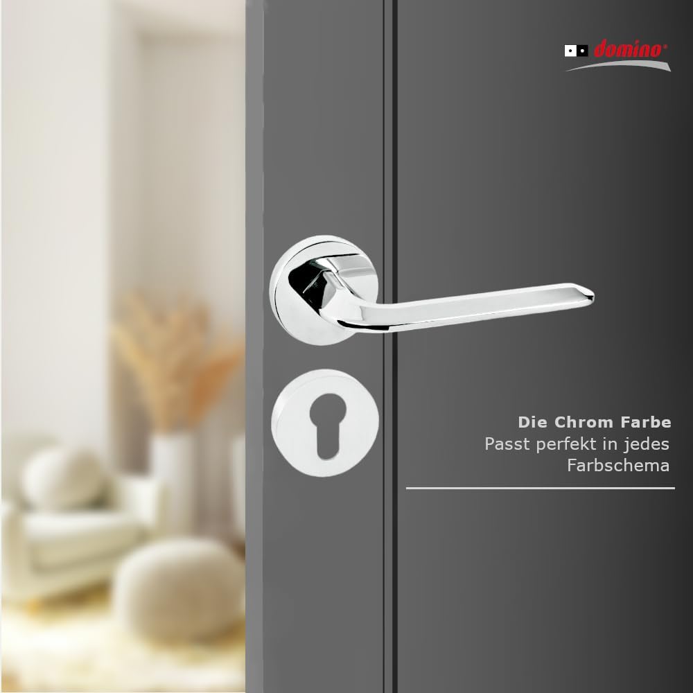domino Türgriff FROST-R M6 PZ-Profilzylinder Drückergarnitur für Zimmertüren Türdrücker-Set Rosetten