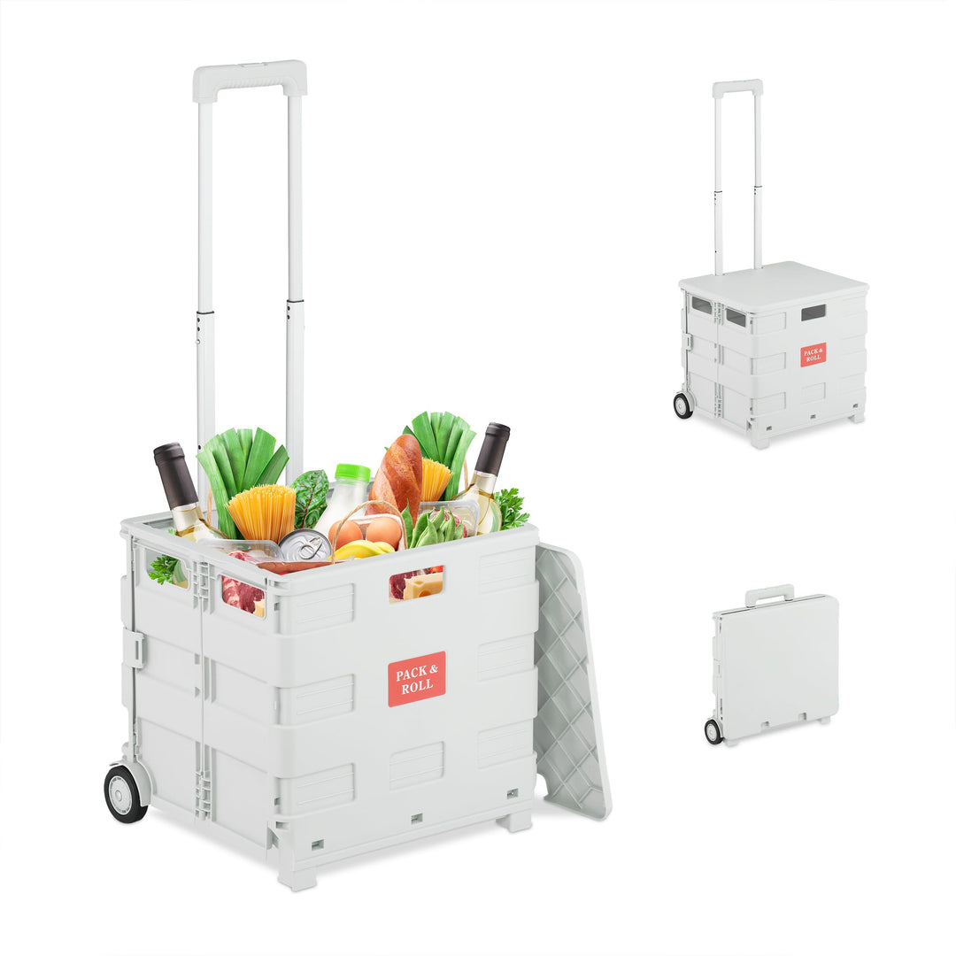 Relaxdays Einkaufstrolley, klappbar, Einkaufskorb mit Rollen, mit Deckel & Teleskopgriff, bis 35 kg,