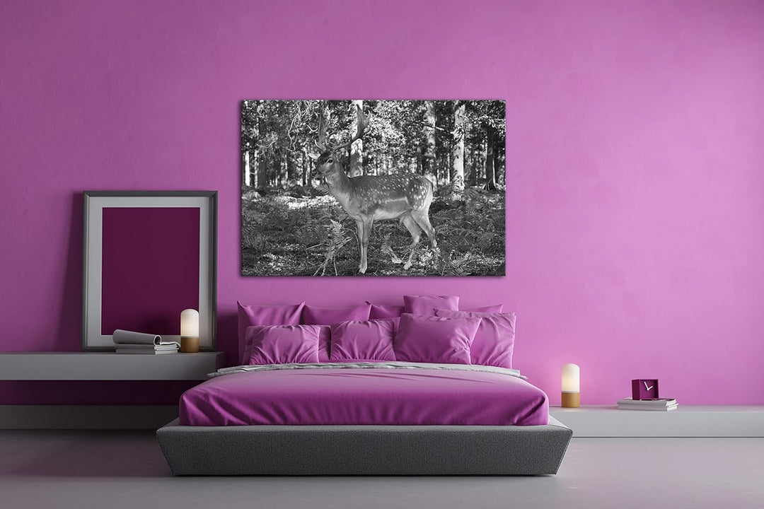 deyoli Bezaubernder Hirsch im Wald Effekt: Schwarz/Weiss im Format: 80x60 als Leinwandbild, Motiv fe