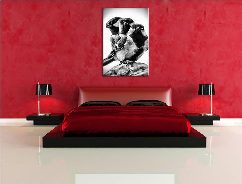 Pixxprint schöne Blaumeisen / 100x70cm Leinwandbild bespannt auf Holzrahmen/Wandbild Kunstdruck Deko