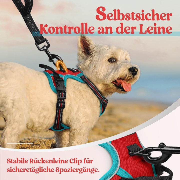 rabbitgoo Hundegeschirr Kleine Hunde, Anti Zug Geschirr mit Kontrolle, No Pull Verstellbar Hundegesc