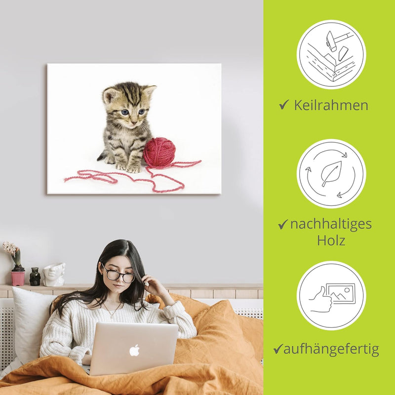 ARTland Leinwandbilder Wandbild Bild auf Leinwand 80x60 cm Katze Tiere Babykatze Haustiere Süss Mädc