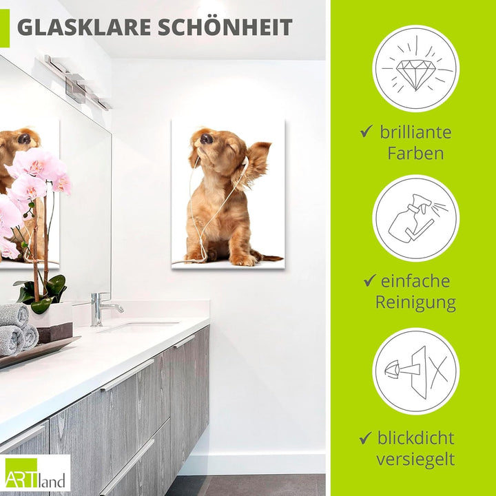 ARTland Glasbilder Wandbild Glas Bild einteilig 30x60 cm Hochformat Hund Tiere Musik Dackel Welpen L