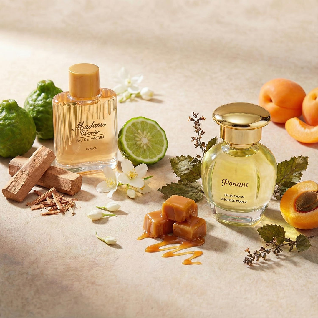 Top Ten Gift Set of 10 Eau de Parfums Miniatures Total 57,8 ml | 10 Stück (1er Pack)