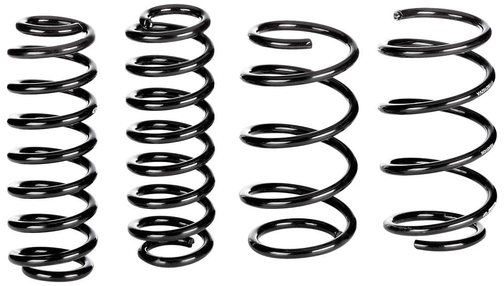 Eibach E10-15-021-02-22- Pro-Kit Federn Leistung