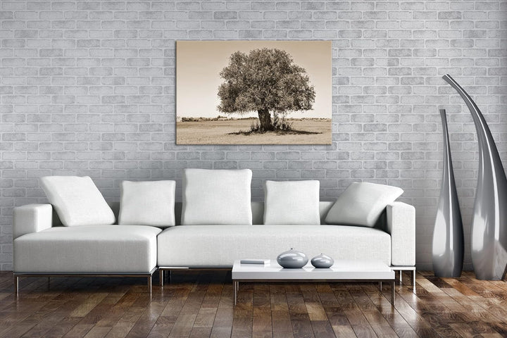 deyoli himmlicher einsamer Baum Format: 60x40 cm Effekt: Sepia als Leinwandbild, Motiv fertig gerahm