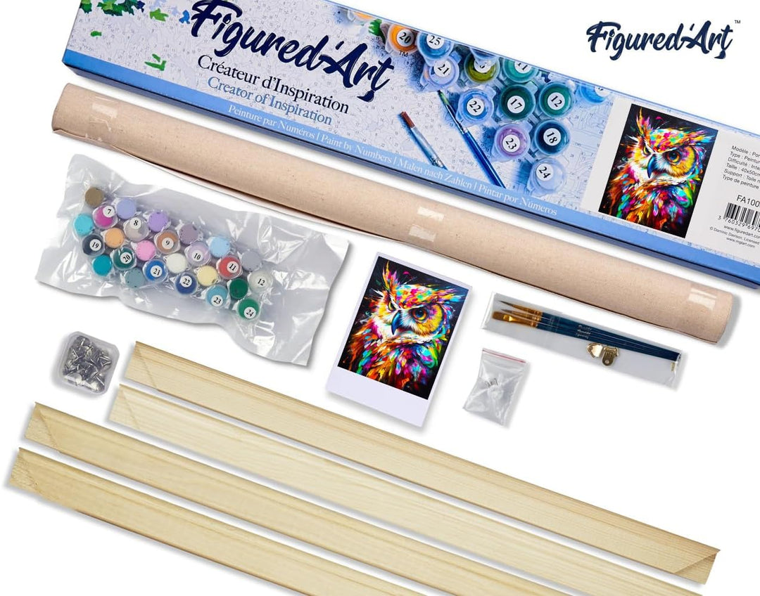 Figured'Art Malen Nach Zahlen Erwachsene Mit Rahmen Eule Farbenfroh Abstrakt - Paint by Numbers Bast