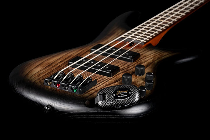 ORTEGA Digital wireless System - 4 Kanäle / 2,4 Ghz/wiederaufladbar/inkl. USB Kabel (ODWS-1CAR)