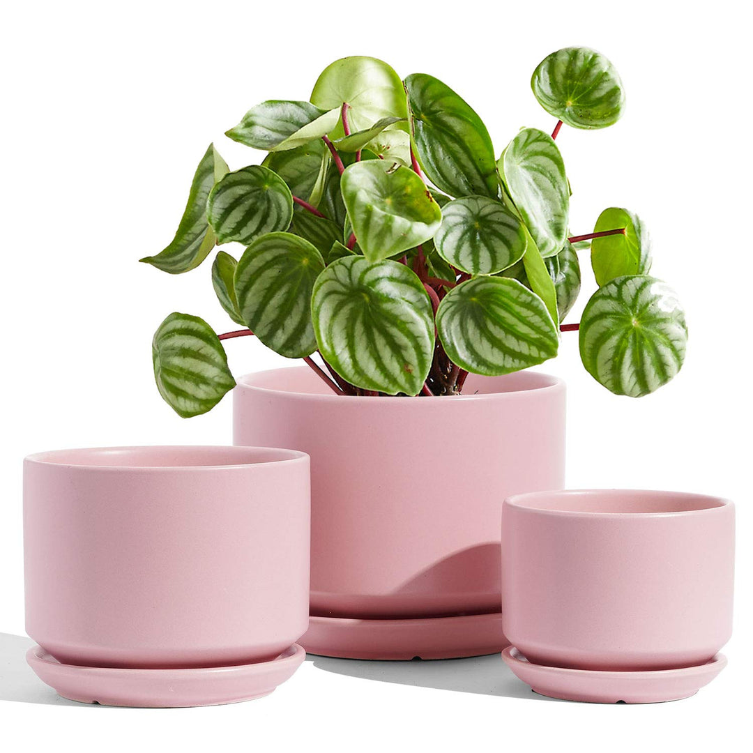 LE TAUCI 3 er Pack Übertöpfe Keramik, 11+13+17 cm Durchmesser Klein Töpfe Set, Blumentopf für Zimmer