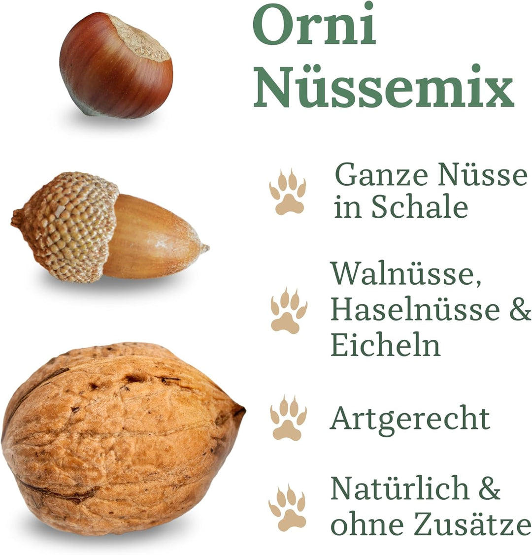 Orni Artgerechter Nüsse Mix für Eichhörnchenfutter 1kg | Futter für Eichhörnchen mit Haselnüsse, Wal