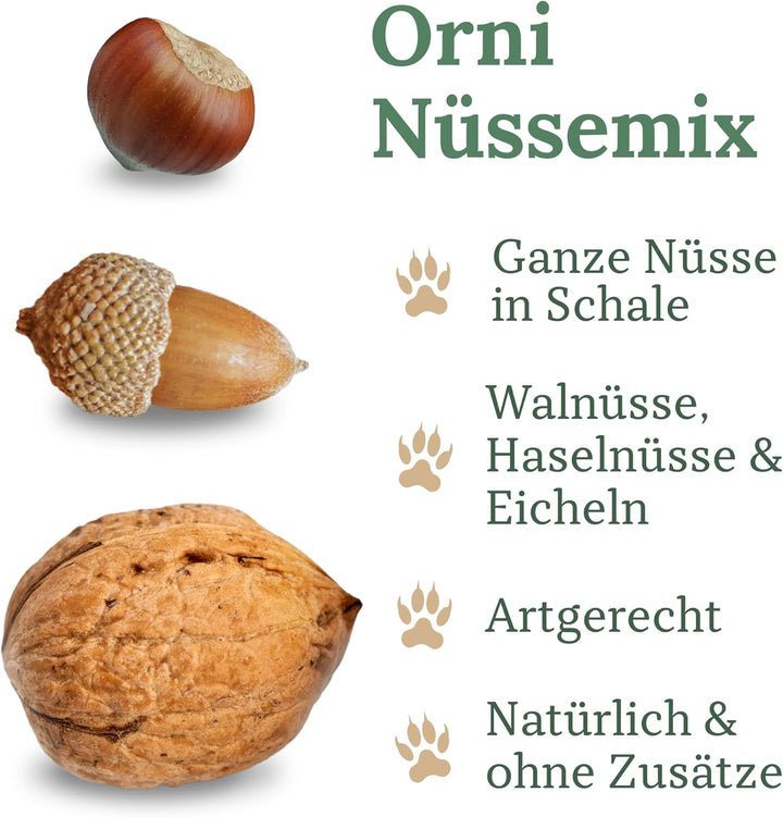Orni Artgerechter Nüsse Mix für Eichhörnchenfutter 1kg | Futter für Eichhörnchen mit Haselnüsse, Wal
