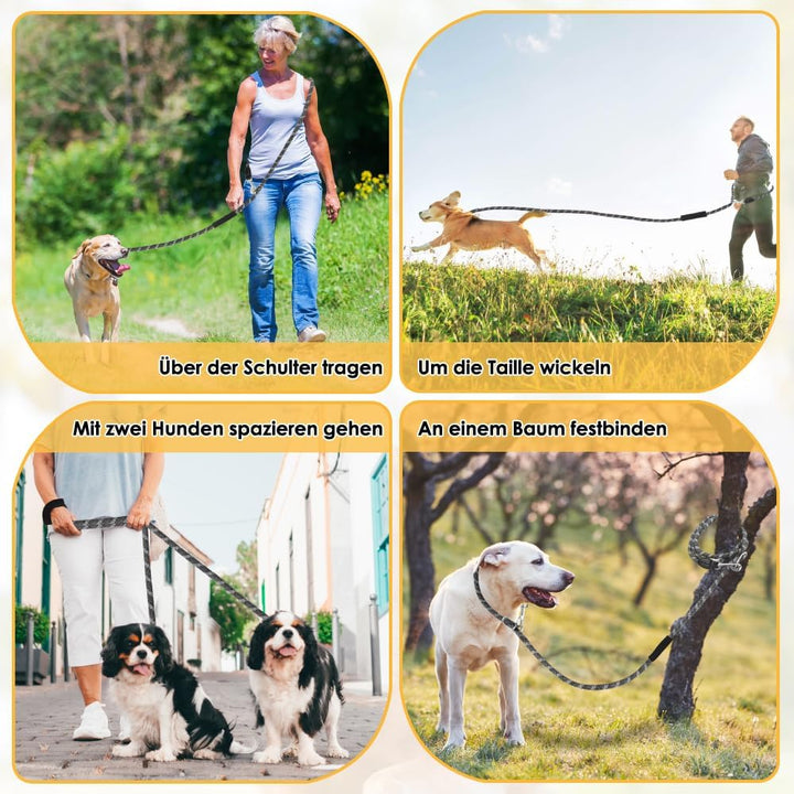 Hundeleine 3m für Kleine mittelgrosse Hunde, 8in1 Schleppleine mit 3 Verstellbare Schnalle und Griff