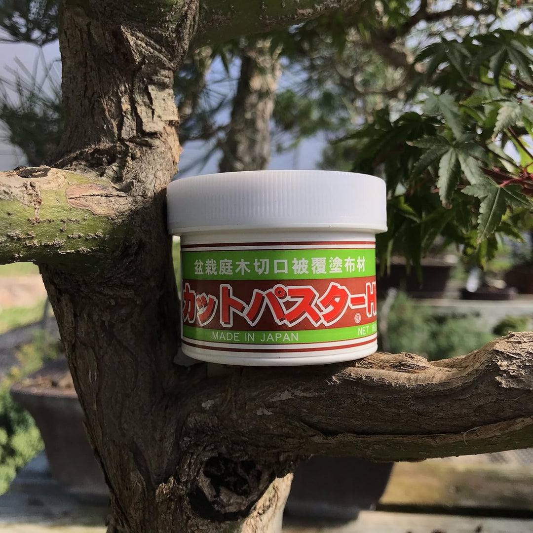 Japanischer Mastix, Heilpaste speziell für Bonsai-Laubbäume, 160 g